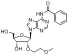 N6-苯甲?；?2'-O-(2-甲氧基乙基)腺苷